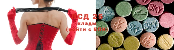 соль ск Белокуриха