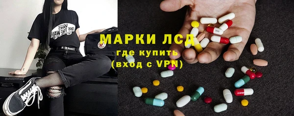 шишки Осинники