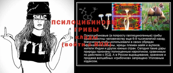 соль ск Белокуриха