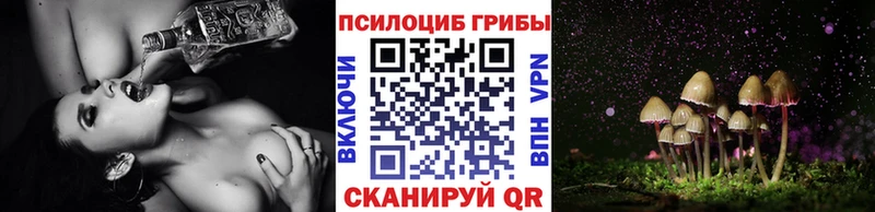 Псилоцибиновые грибы прущие грибы Волосово